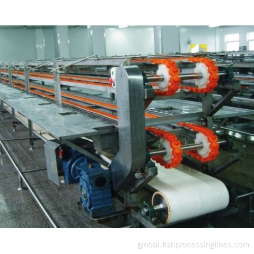 Tuna Processing Line Complete canned tuna fish processing machine production line Factory